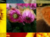 Jimpix Snapshot 11th May 2011